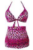 Rosy Leopard Print Retro High Waist 2 Pieces Swimsuit