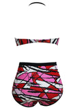 Sexy Color Block Graphic High Waist Bikini