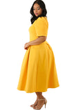 Yellow Plus Size Pleat Flare Dress