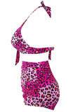 Rosy Leopard Print Retro High Waist 2 Pieces Swimsuit
